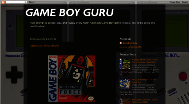 gameboyguru.blogspot.com