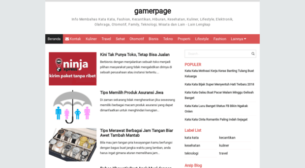 gamerpage.net