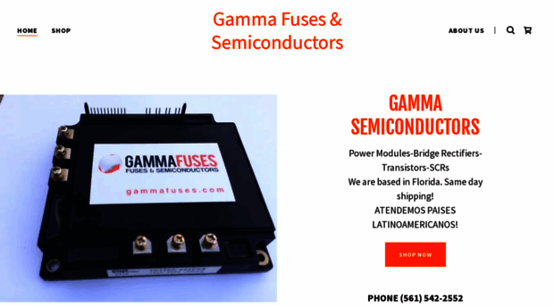 gammafuses.com