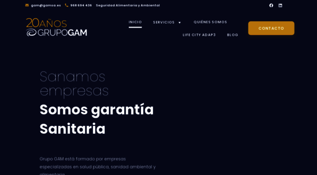 gamsa.es