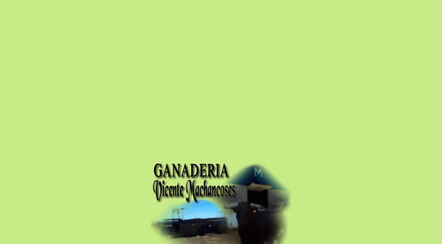 ganaderiavicentemachancoses.com