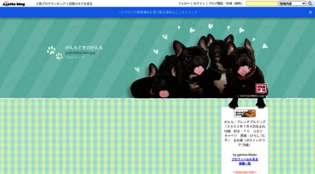 ganmohitok.exblog.jp