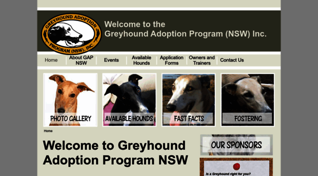 gapnsw.org.au