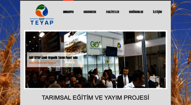 gapteyap.org