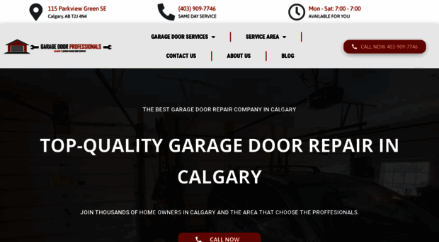 garagedoorprofessionalscalgary.ca