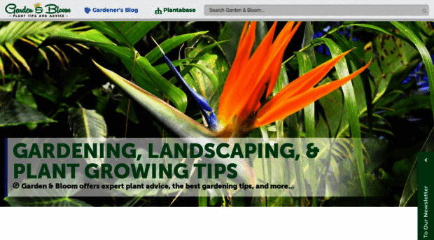 gardenandbloom.com