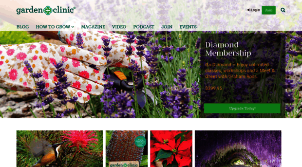 gardenclinic.com