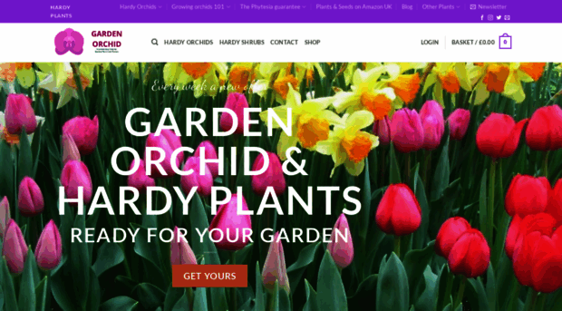 gardenorchid.co.uk