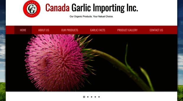 garlicgroups.com