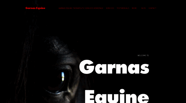 garnasequine.com