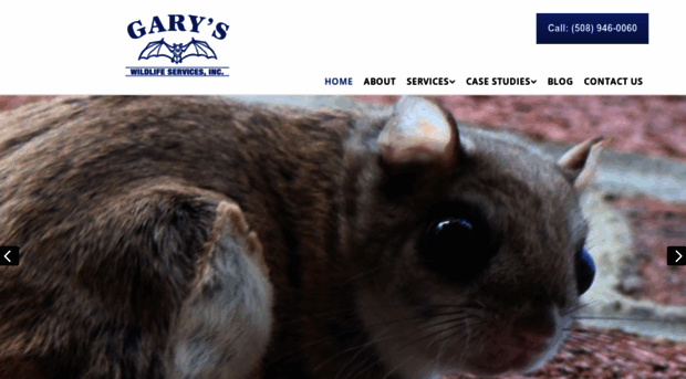 garyswildlife.com