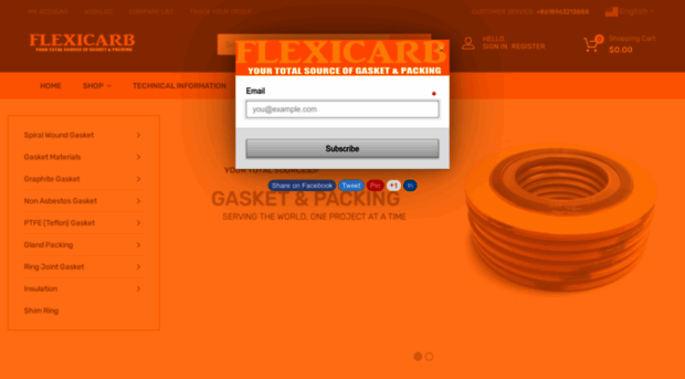 gasket-packing.com