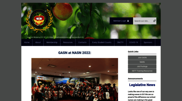 gasn.org