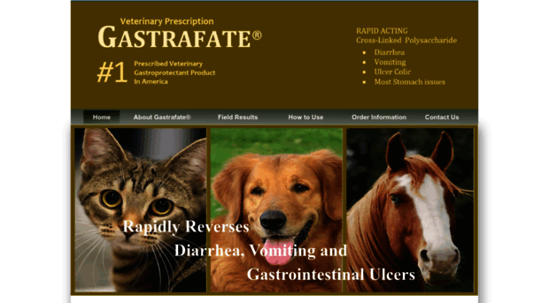 gastrafate.com