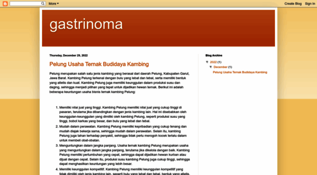 gastrinoma.blogspot.com