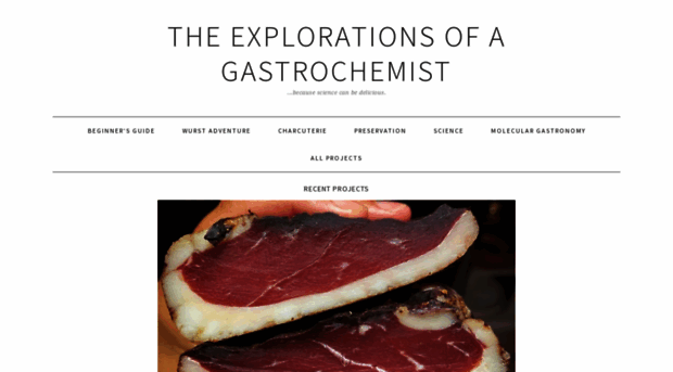 gastrochemist.com