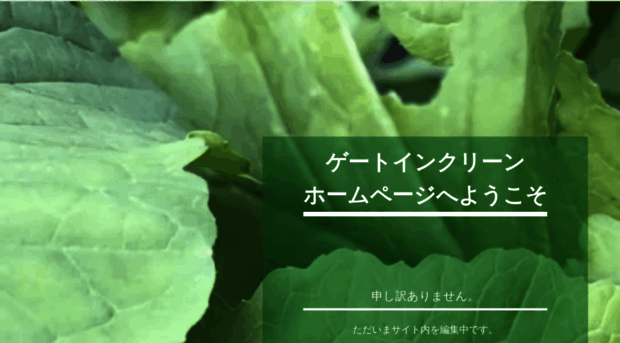 gateinclean-fukuoka.com
