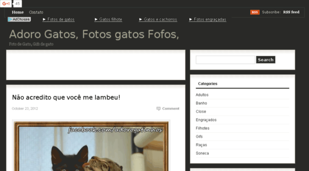 gatinhos.org