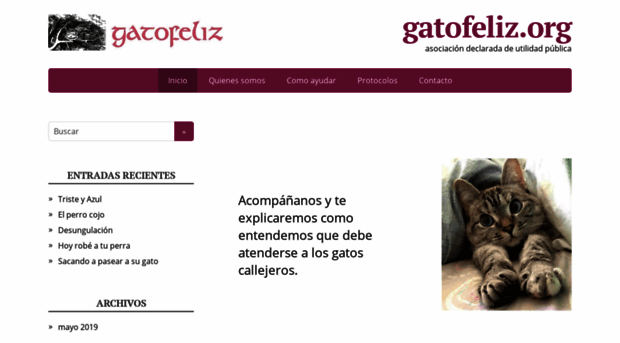 gatofeliz.org