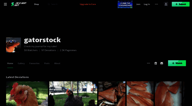 gatorstock.deviantart.com