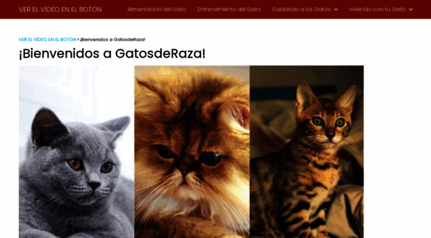 gatosderaza.xyz