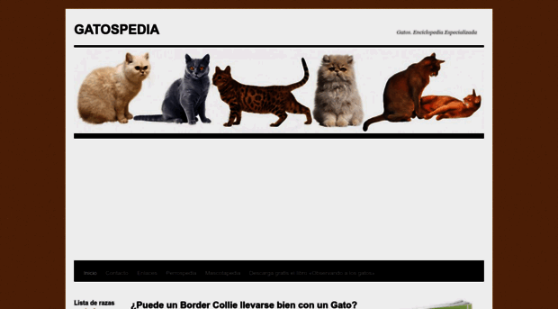 gatospedia.com