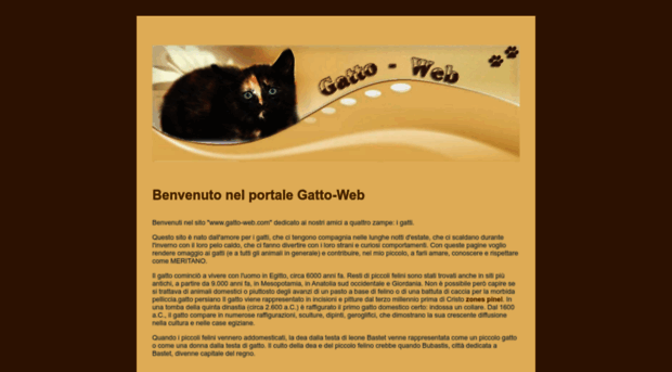 gatto-web.com