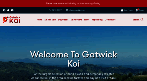 gatwickkoi.com