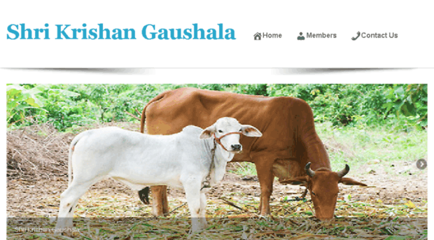 gaushalamehandipur.com