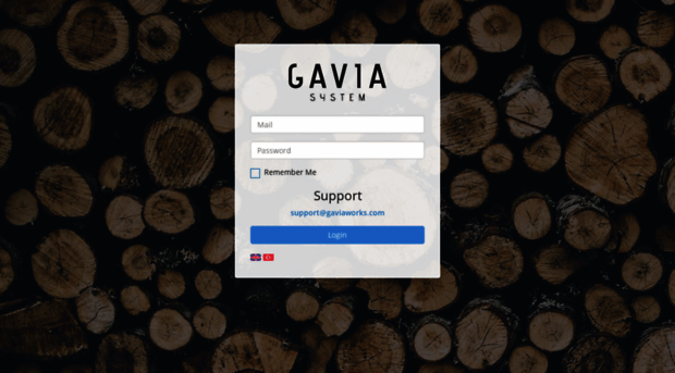 gaviasystem.com