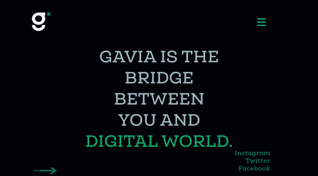 gaviaworks.com