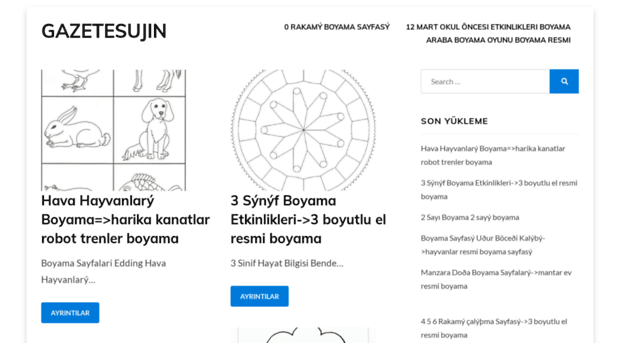 gazetesujin.net