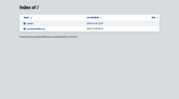 gazeteyenibirlik.com