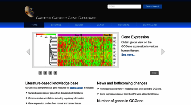 gcgene.bioinfo-minzhao.org