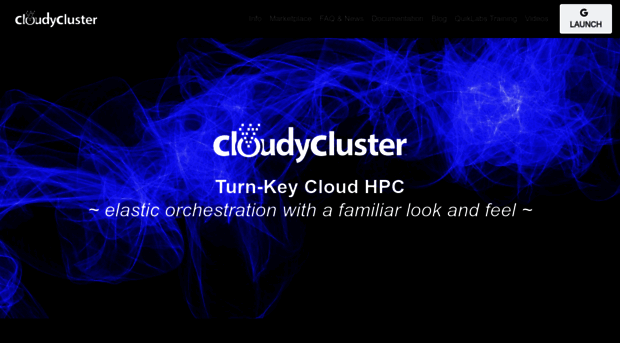 gcp.cloudycluster.com