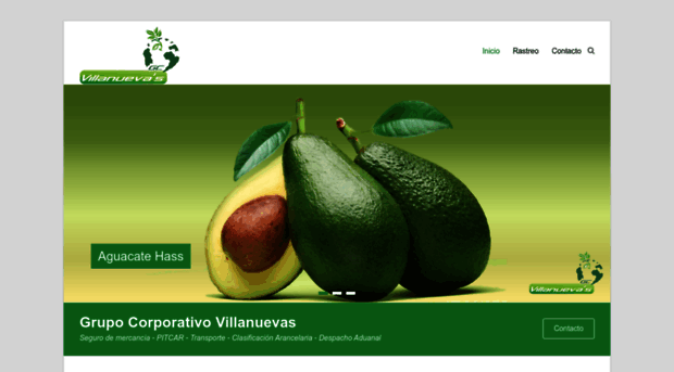 gcvillanuevas.com