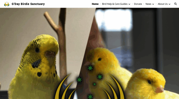 gdaybirdie.org