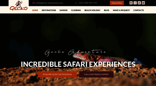 gecko-adventure.com