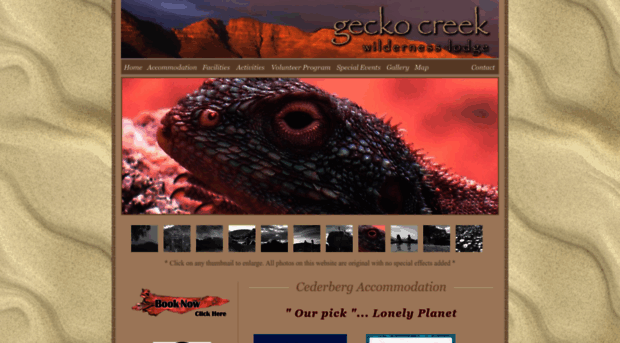 geckocreek.com