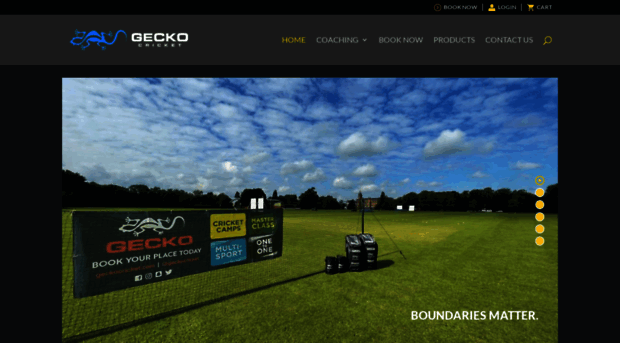 geckocricket.com