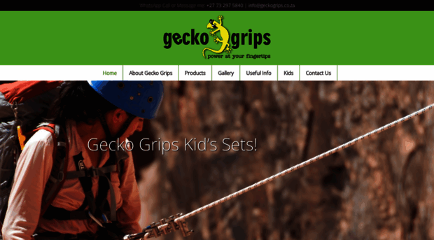 geckogrips.co.za