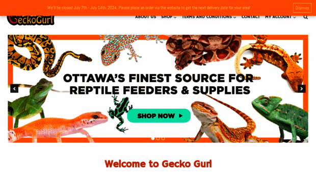 geckogurl.com