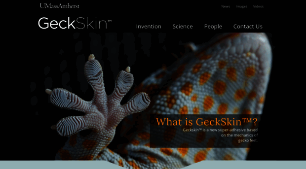 geckskin.umass.edu