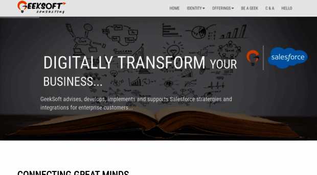 geeksoftconsulting.com