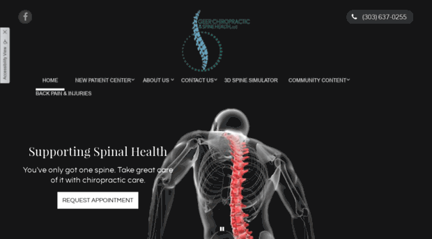 geerchiropractic.com