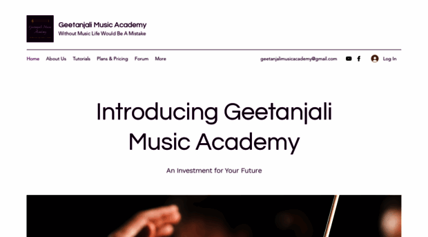 geetanjalimusicacademy.com