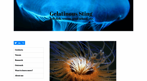 gelatinoussting.com