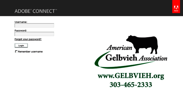 gelbvieh.adobeconnect.com