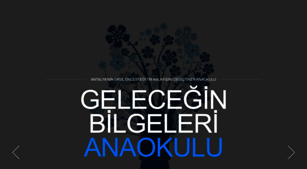 geleceginbilgeleri.com