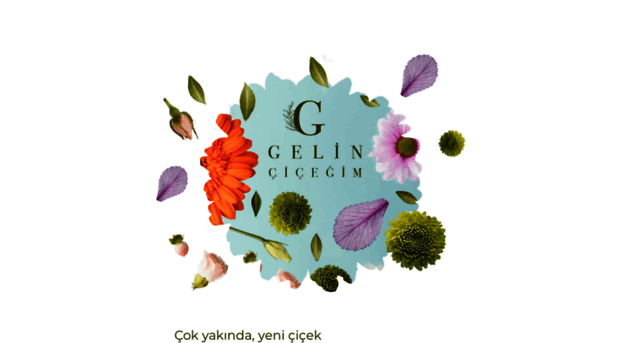 gelincicegim.com